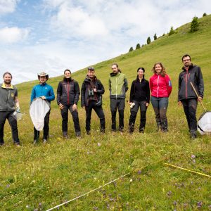 Biodiversitätsmonitoring Südtirol TEAM (C) Eurac Research / Martina Jaider